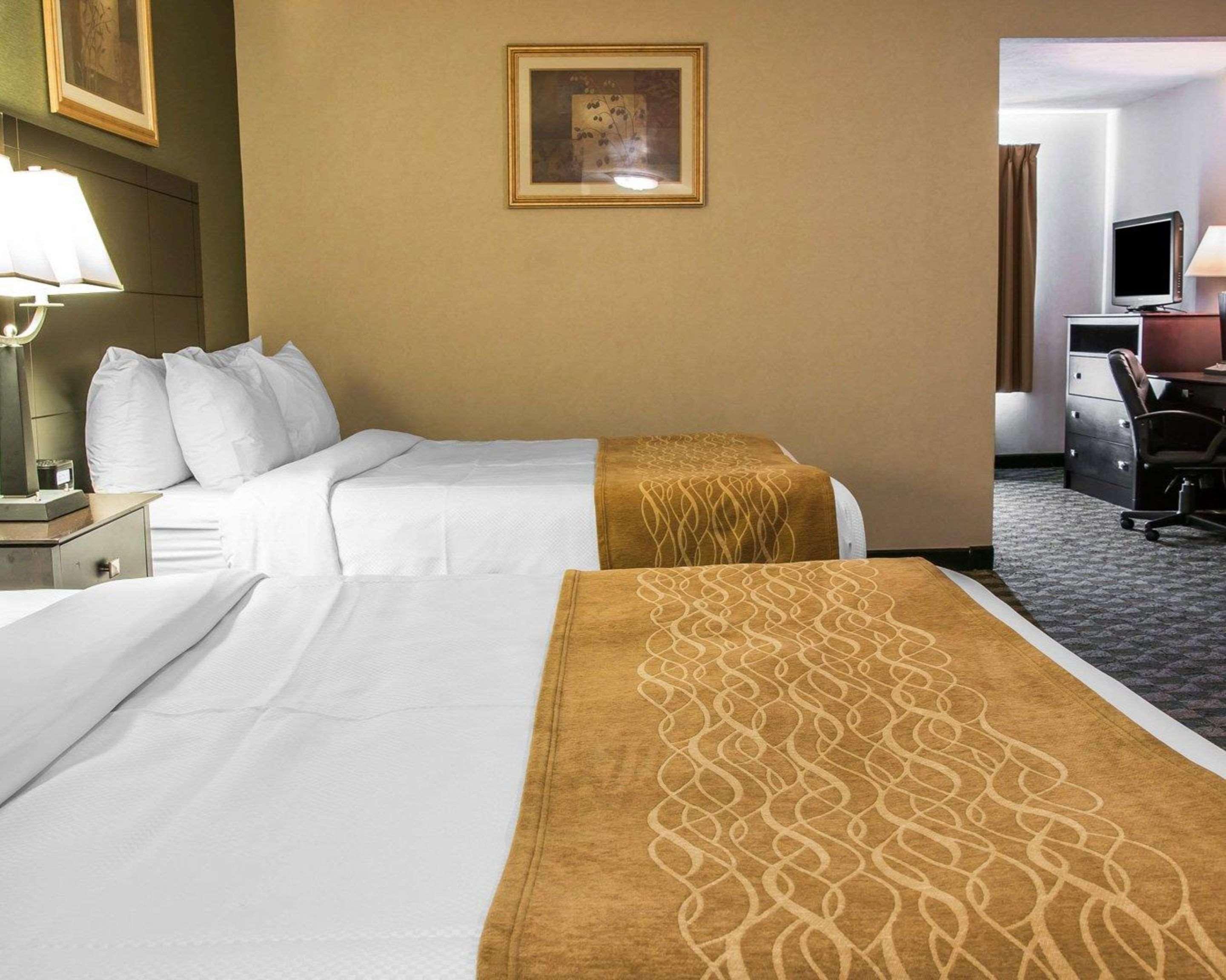 Comfort Inn Whitehall Near Michigan'S Adventure Zewnętrze zdjęcie