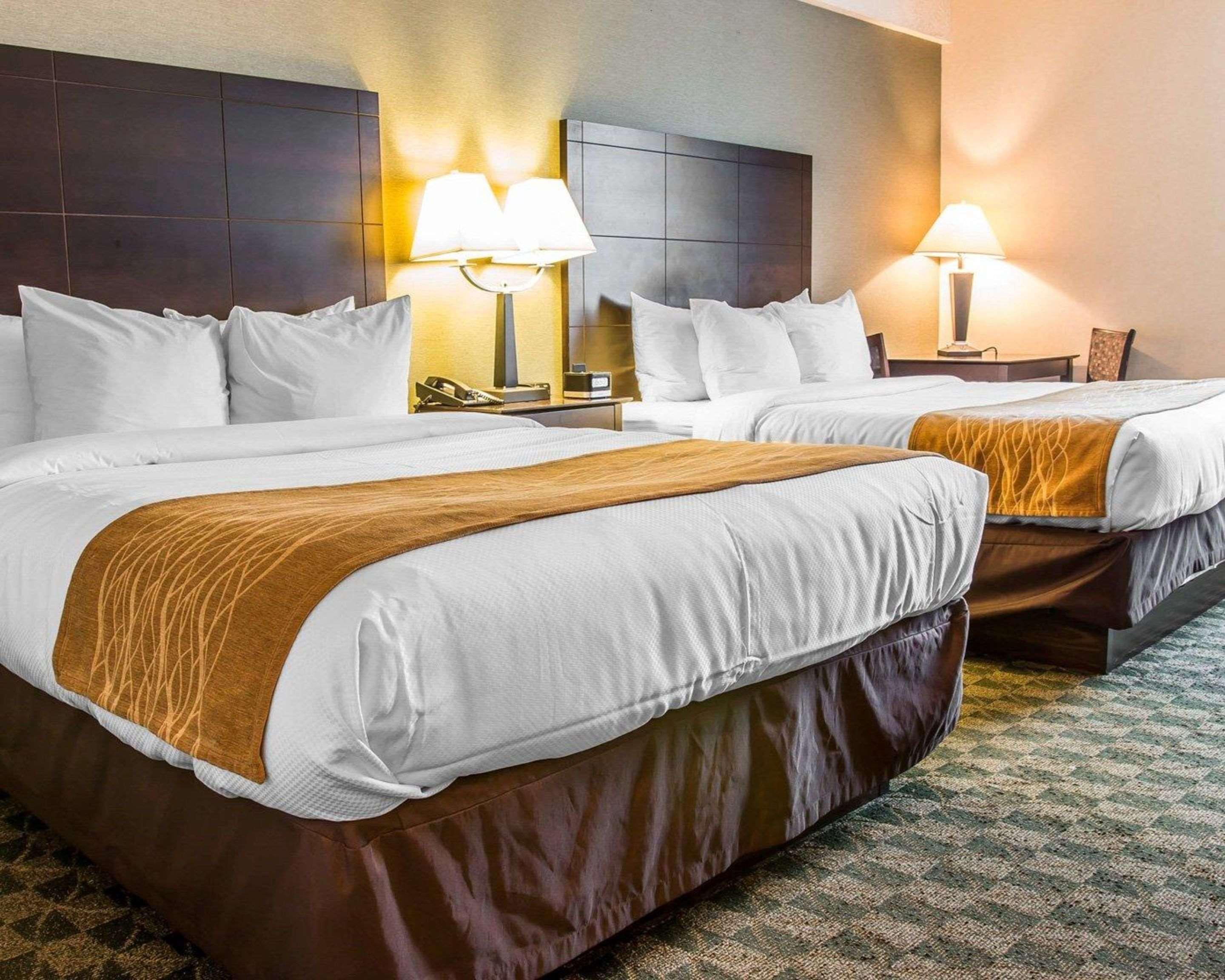 Comfort Inn Whitehall Near Michigan'S Adventure Zewnętrze zdjęcie
