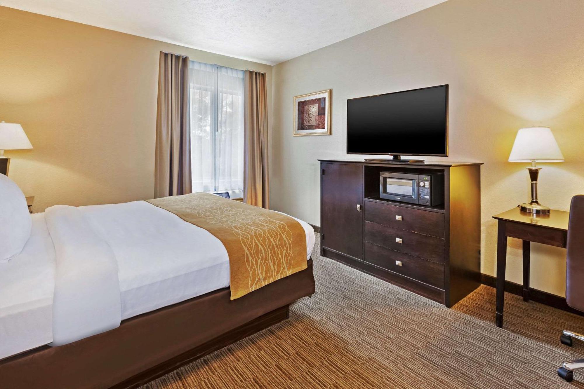 Comfort Inn Whitehall Near Michigan'S Adventure Zewnętrze zdjęcie