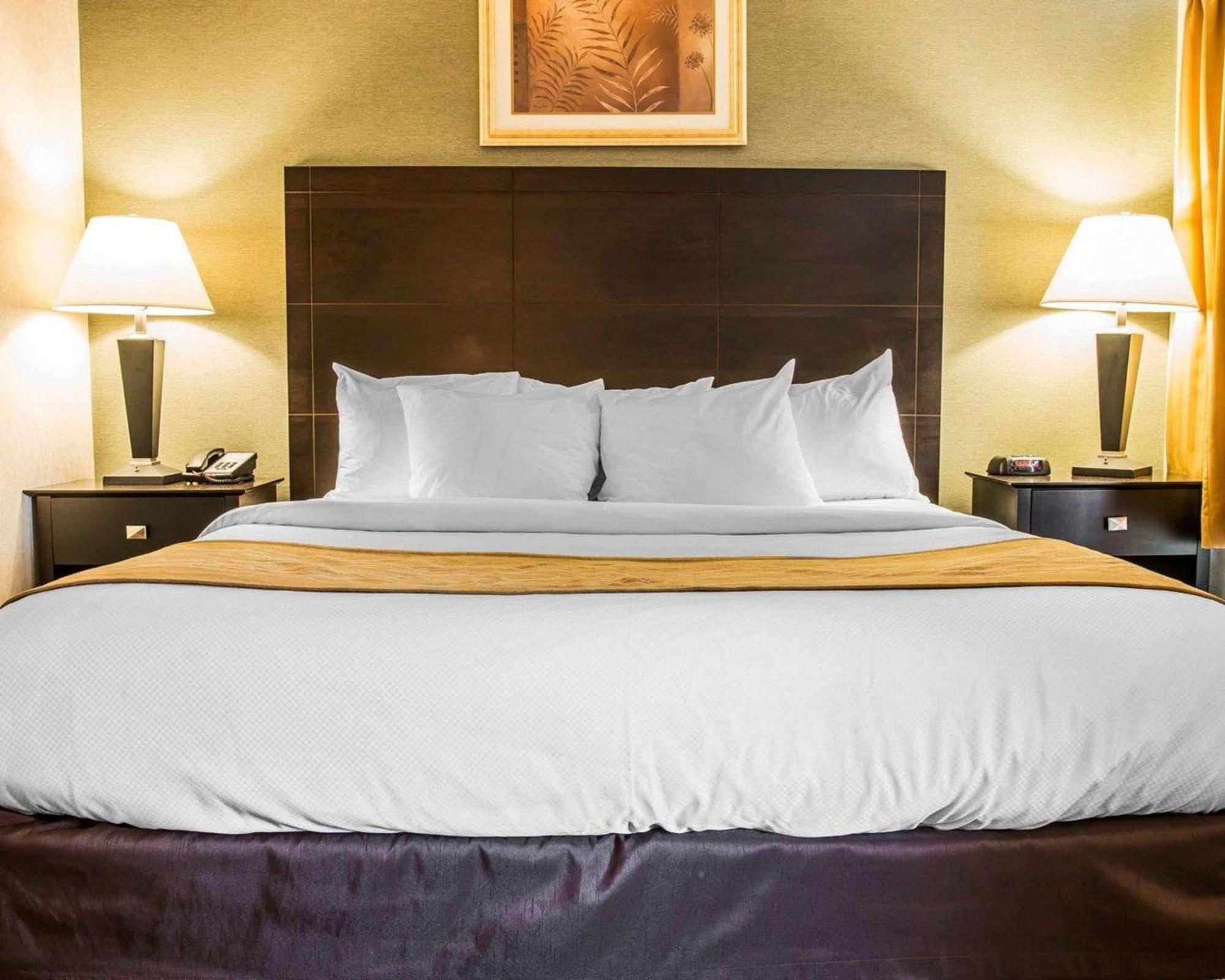 Comfort Inn Whitehall Near Michigan'S Adventure Zewnętrze zdjęcie